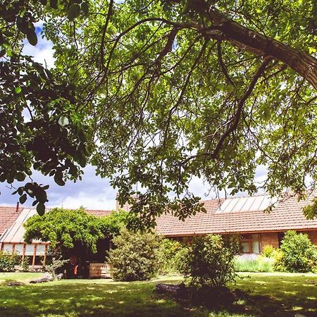 Posada Los Mimbres Gaiman Esterno foto