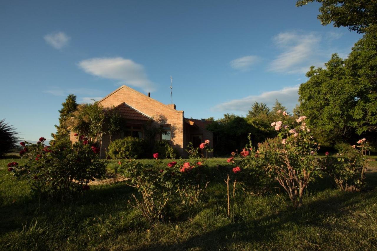 Posada Los Mimbres Gaiman Esterno foto
